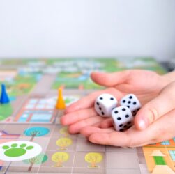 Board games for the home