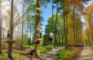 découvrez les meilleures périodes pour pratiquer l'accrobranche à vitré sans attendre et profiter pleinement des parcours en pleine nature en toute saison.