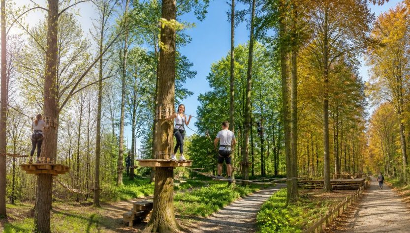 découvrez les meilleures périodes pour pratiquer l'accrobranche à vitré sans attendre et profiter pleinement des parcours en pleine nature en toute saison.