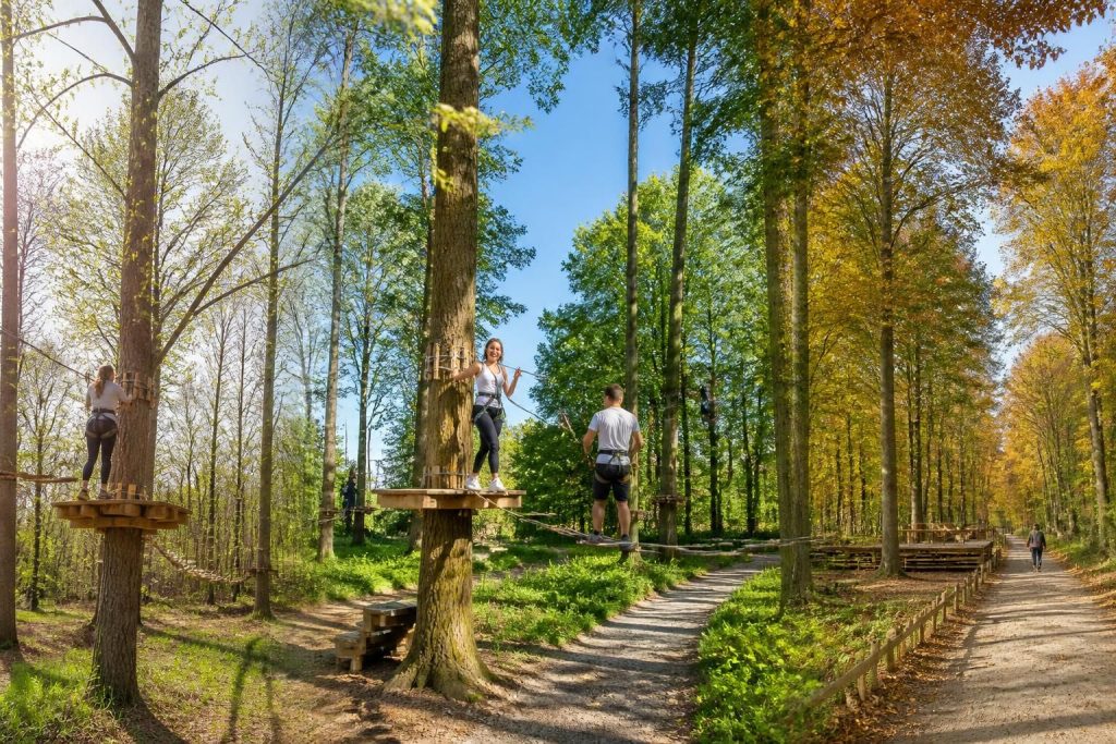 découvrez les meilleures périodes pour pratiquer l'accrobranche à vitré sans attendre et profiter pleinement des parcours en pleine nature en toute saison.
