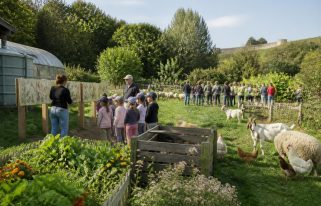 découvrez comment une ferme pédagogique à boulogne-sur-mer sensibilise petits et grands à l'écologie grâce à des activités ludiques et éducatives en plein air.